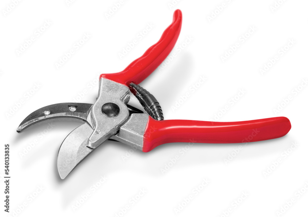 Pruning Shears