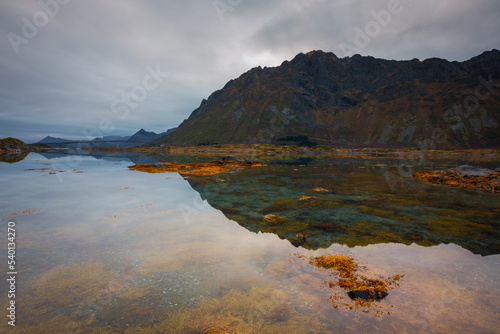 Beautiful and colorful autumn in the Lofoten archipelago in Norway. Breathtaking landscapes show the power of nature.