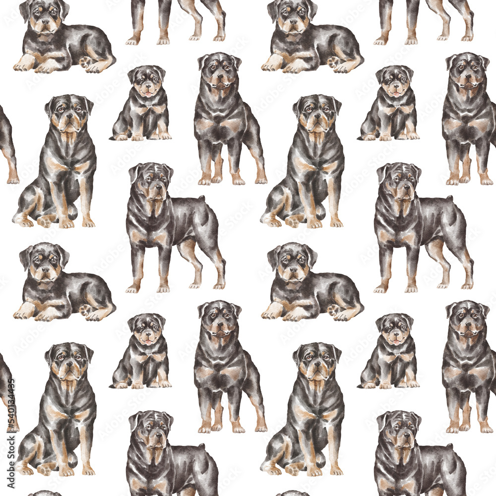Obraz premium Rottweiler dogs seamless pattern