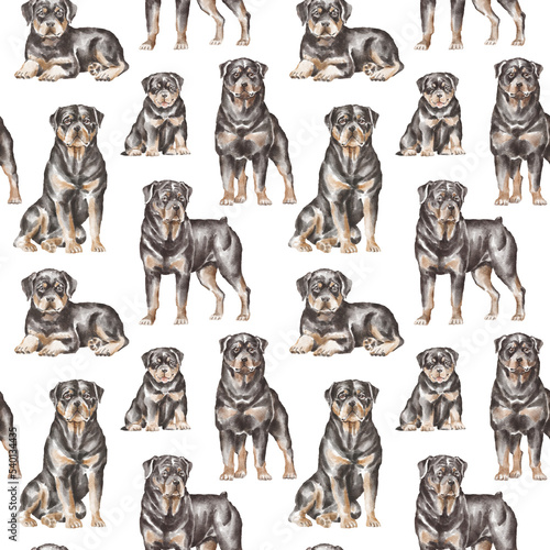Fototapeta Naklejka Na Ścianę i Meble -  Rottweiler dogs seamless pattern