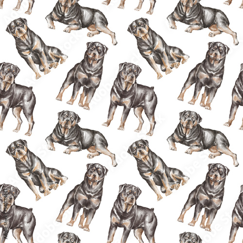 Fototapeta Naklejka Na Ścianę i Meble -  Rottweiler dogs seamless pattern