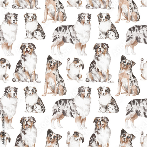 Aussie dogs seamless pattern