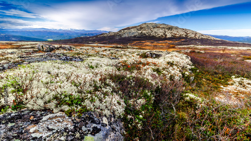 Landscape with sky. Autumn in Rondane. Autumn landscape in Rondane National Park in Norway.