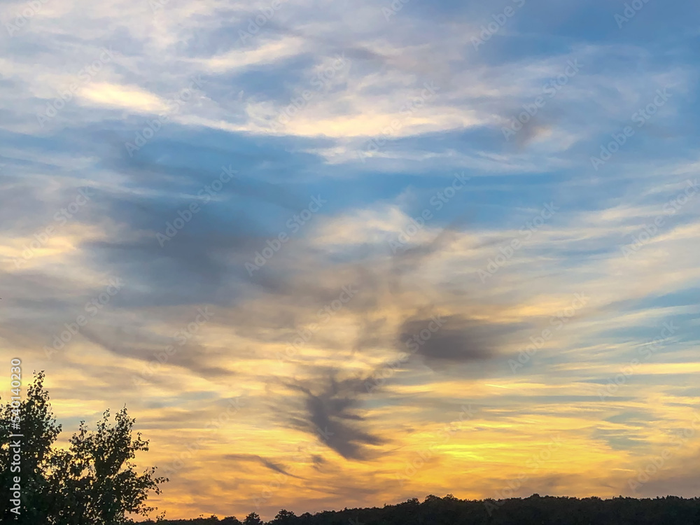 illustration d'un ciel avec des nuages gris et le coucher du soleil et en premier plan des arbres