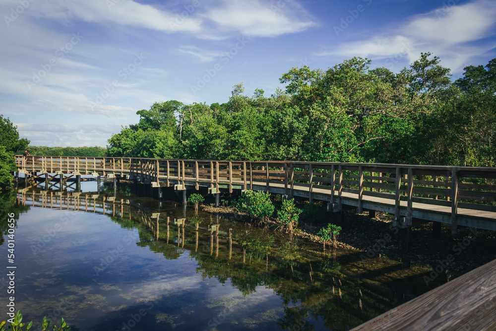 bridge over the river