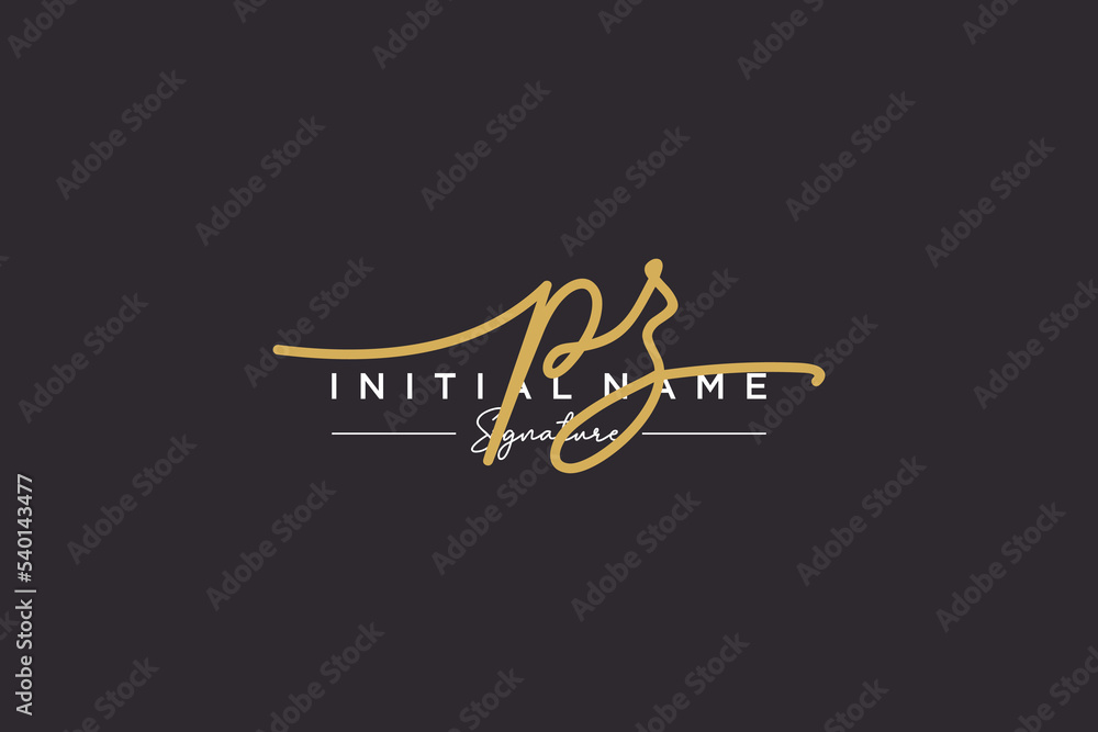 Initial PZ signature logo template vector. Hand drawn Calligraphy lettering Vector illustration. Initial PZ signature logo template vector. Hand drawn Calligraphy lettering Vector illustration.