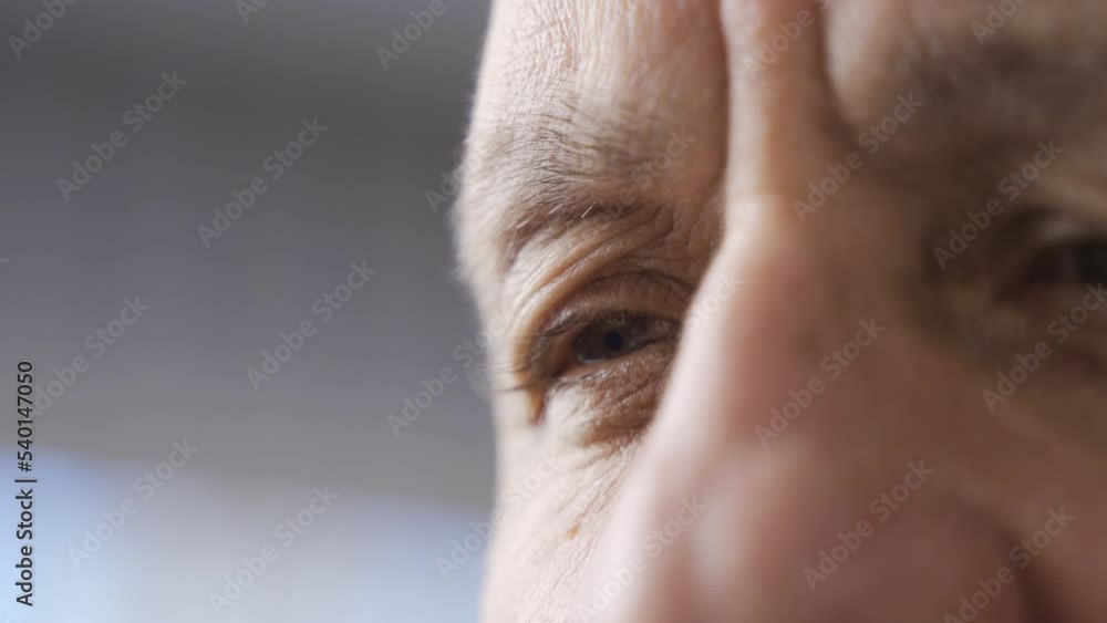 Old man eyes close-up.
Eyes of an elderly person in close-up.
Old man eyes close-up.
Eyes of an elderly person in close-up.