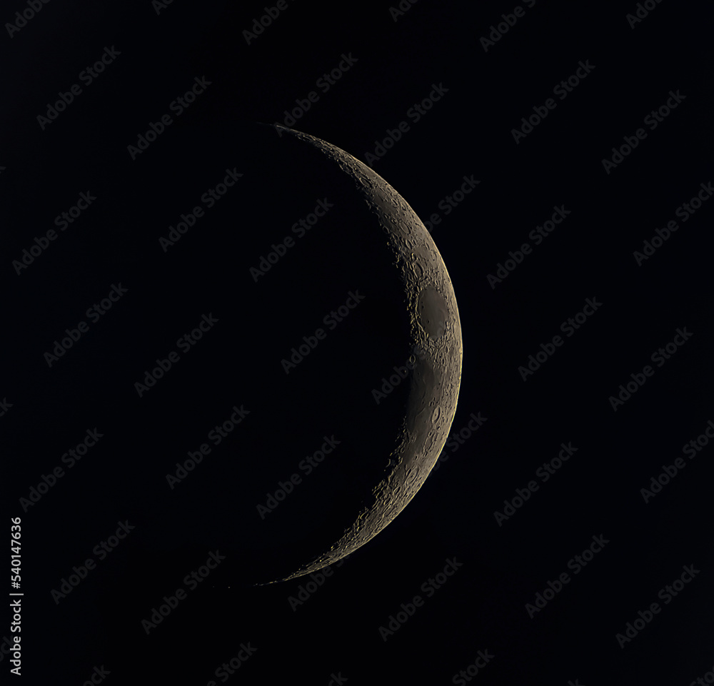 Crescent Moon 