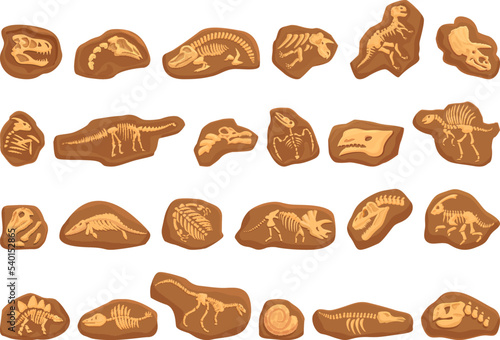 Dinosaur fossil icons set cartoon vector. Nature education. Animal geology