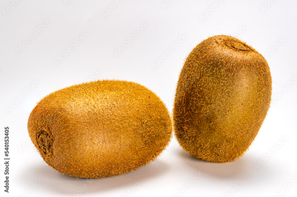 Side view of two fresh ripe delicious hairy kiwi fruit or kiwifruit. Side view of two fresh ripe delicious hairy kiwi fruit or kiwifruit.