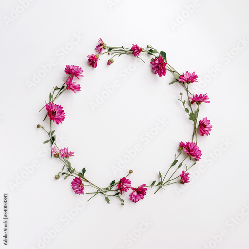 Flower wreath of pink chrysanthemums on white background, flat lay, top view, copy space