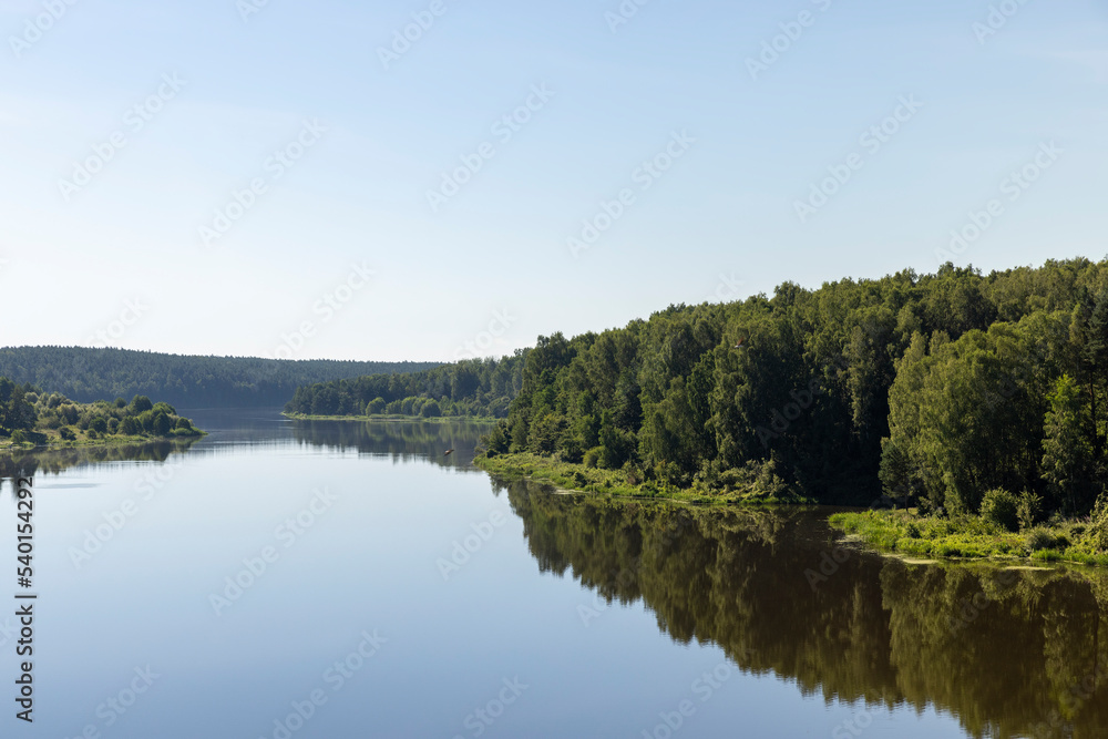 Trees in a mixed forest near the river in the summer season