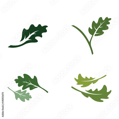 Autumn oak leaf logo and oak tree logo. With easy and simple editing of vector illustration.