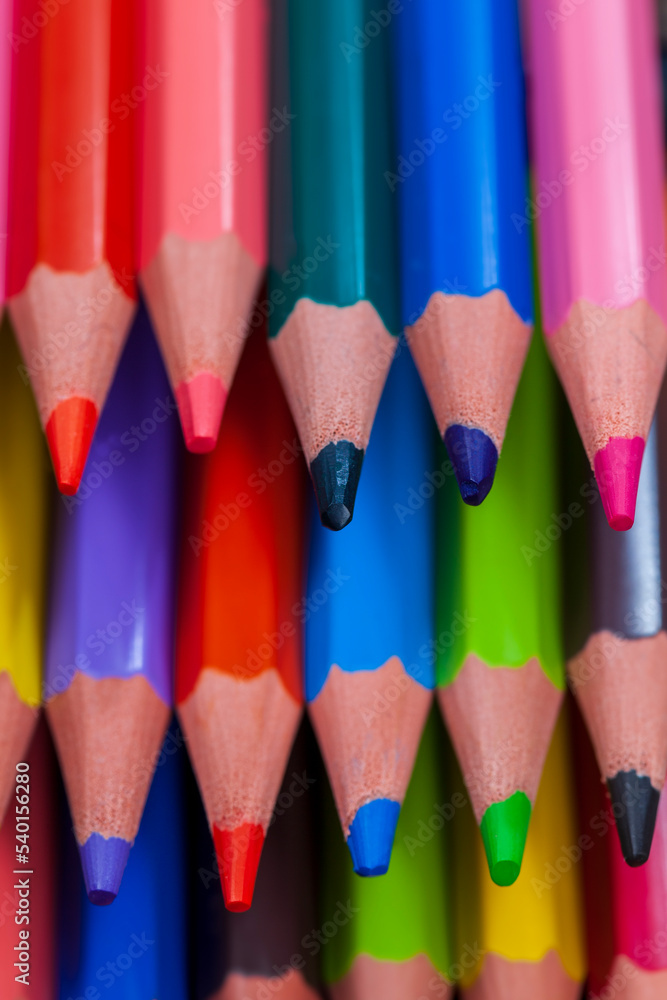 Sharpened colored group of bright pencils Sharpened colored group of bright pencils