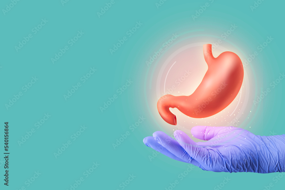 Stomach isolated on a light green background. Medical care for stomach