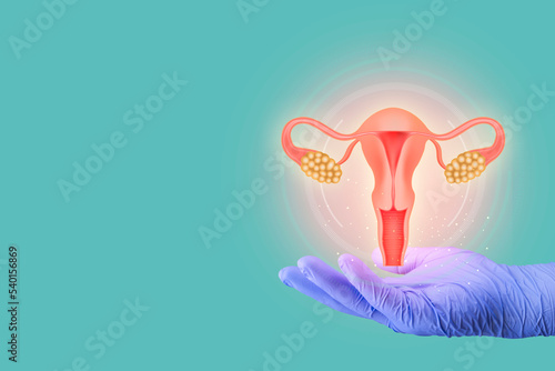 Fotótapéta Female reproductive health concept