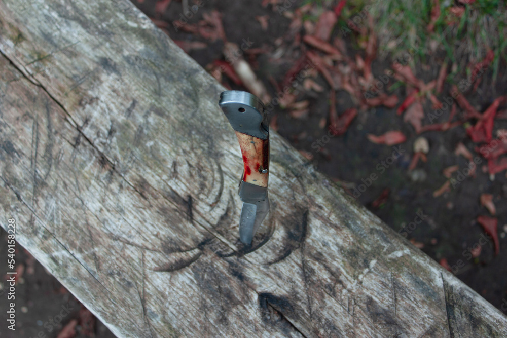 Naklejka premium knife stuck in wood at forest