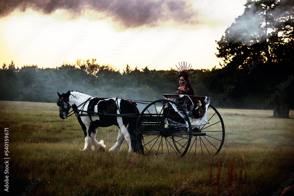 Fototapeta premium Halloween horse and wagan