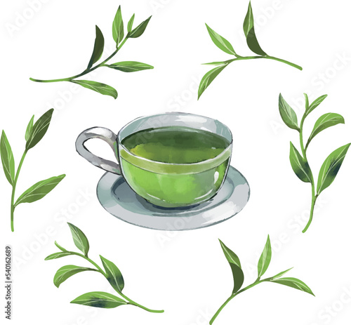 Á∑ëËå∂„Å®Ëå∂Ëëâ  Ê∞¥ÂΩ©È¢®„Éô„ÇØ„Çø„Éº„Ç§„É©„Çπ„Éà„Çª„ÉÉ„Éà