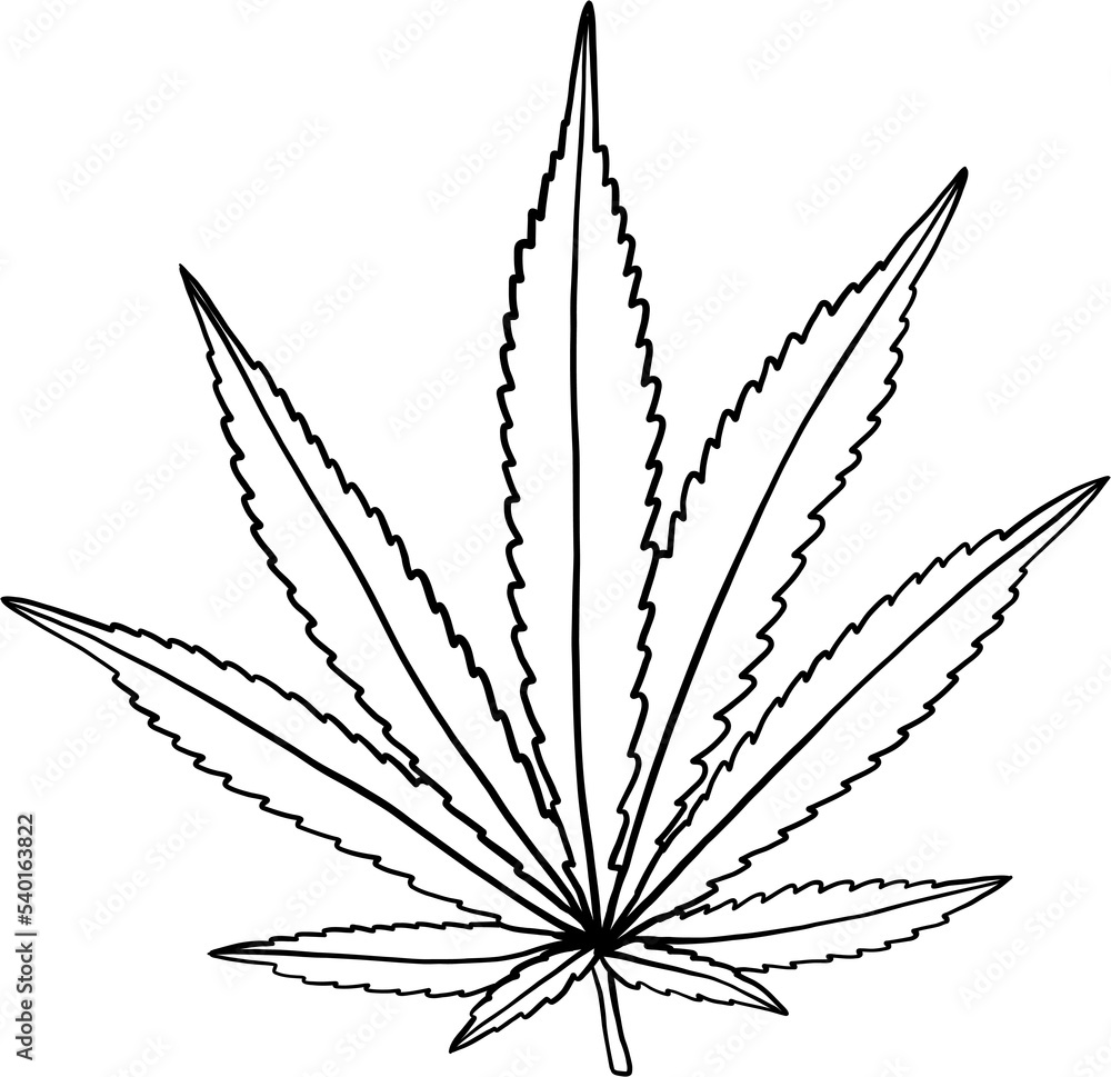 simplicity cannabis leaf freehand drawing simplicity cannabis leaf freehand drawing