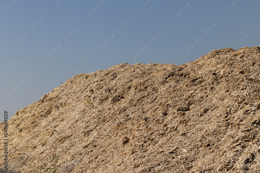 A huge pile of sawdust at a woodworking company A huge pile of sawdust at a woodworking company