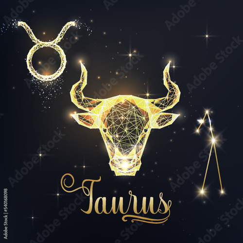 Gold Taurus zodiac sign poster with bull, ox zodiac figure, symbol glyph, constellation, zodiac name