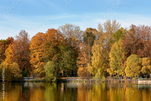 Trees covered with autumn leaves in a city park, no people. Colorful foliage reflected in the pond.