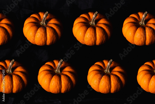 High quality photography. Repeating pattern of many pumpkins on a black isolated background. Pumpkin design for different design applications  templates etc.