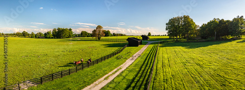 Horse Farm in Kentucky