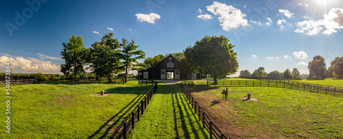 Horse Farm in Kentucky