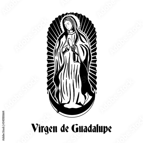hand drawn virgen de guadalupe illustration