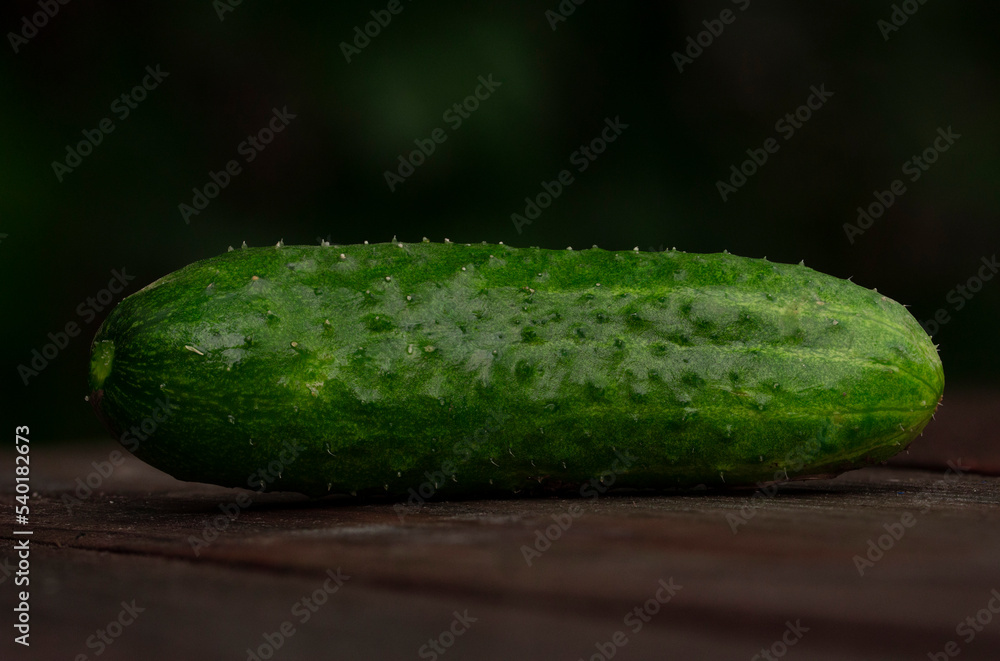 Green cucumber on a wooden table close-up Green cucumber on a wooden table close-up