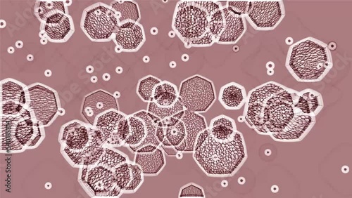 Pulsating cells of microorganisms on a pale pink background.