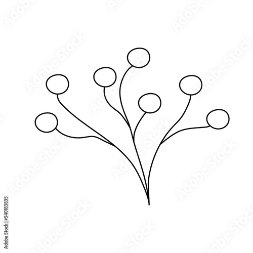 Hand drawn twig with berries in line art doodle style. Botanical decorative element.
