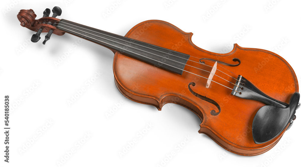 Violin music instrument isolated on white - obrazy, fototapety, plakaty 