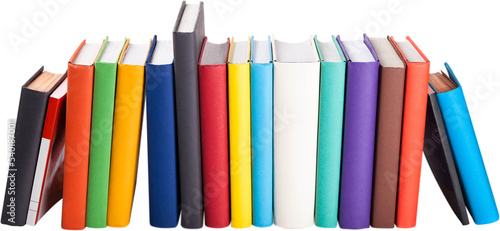 Εκτύπωση καμβά Row of Colorful Books