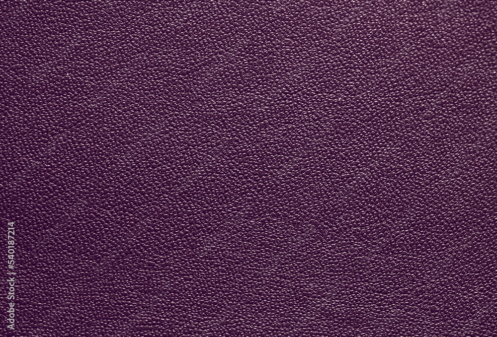 Fototapeta premium Beautiful bright eco-leather, animal skin texture in purple color, close-up as a background.