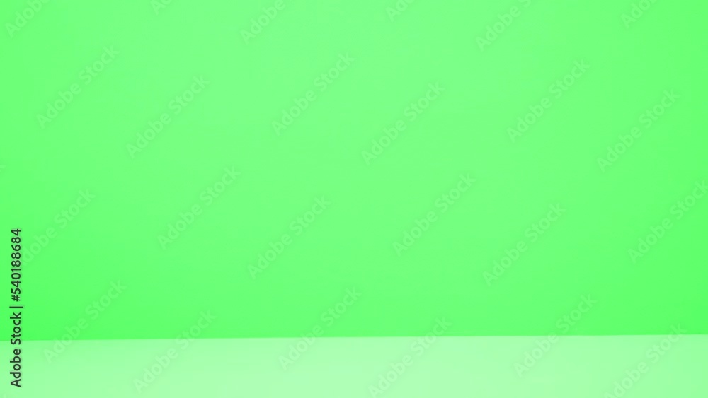 移動していくユウレイグモ 移動していくユウレイグモ