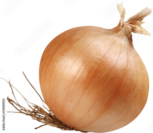 Tela Vidalia onion