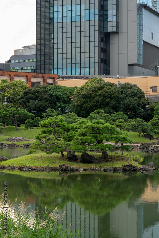 Island in a small pond near by Tokyo bay 