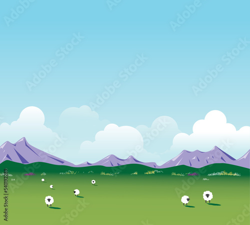 The sheep are grazing 