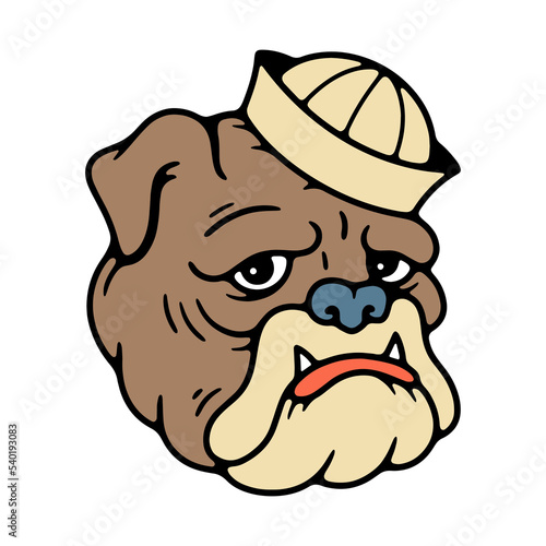 BULLDOG SAILOR HEAD COLOR WHITE BACKGROUND