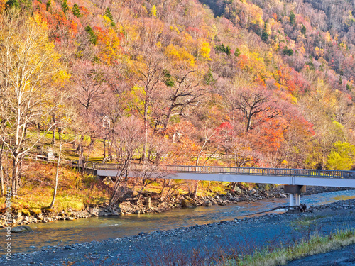 The wooden bridge across Ishikawa river in Sounkyo onsen village  Hokkaido  Japan.