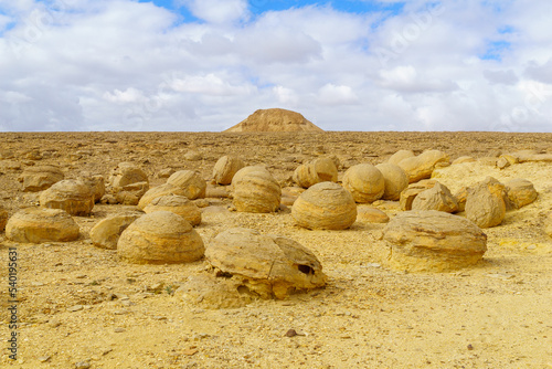 Obraz na płótnie Bulbs rocks (boulders) of Kedar valley, Massive Eilat Nature Reserve w salonie