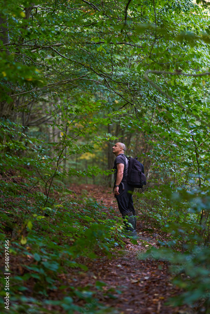 Hiker on a trail