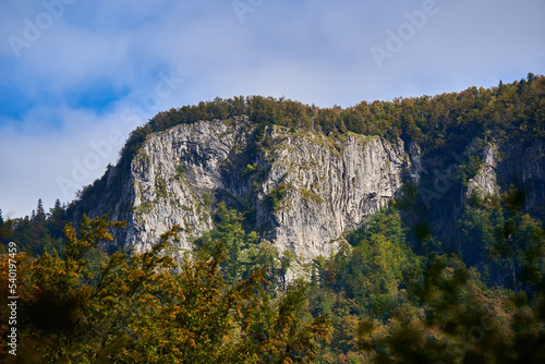 Cliff with forests