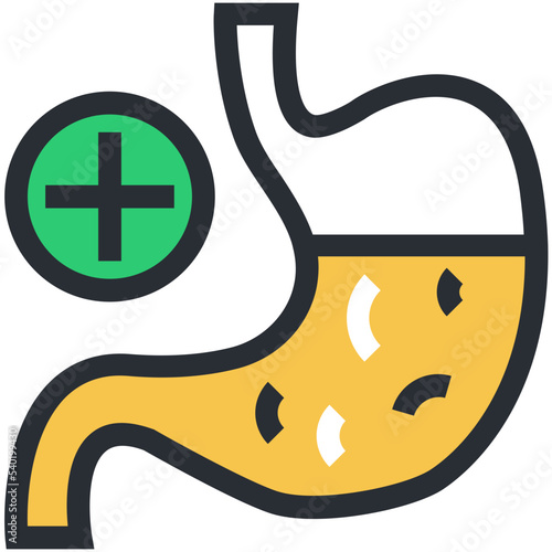 Digestive System 