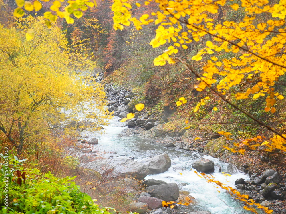 北海道の絶景 秋の天人峡温泉紅葉風景 北海道の絶景 秋の天人峡温泉紅葉風景