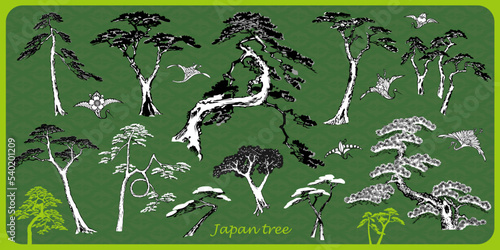 japan tree