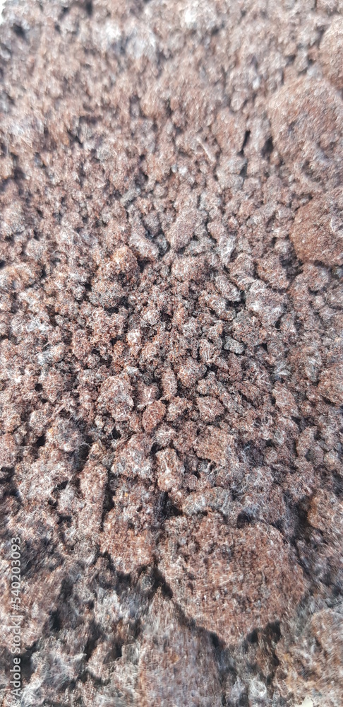 Closeup of rotten coffee Closeup of rotten coffee